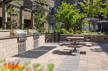 Outdoor picnic and grilling space