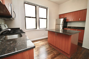Chicago apartment for rent - Stainless steel appliances and granite countertops