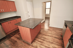 Chicago apartment for rent - Tons of cabinet space and rich flooring