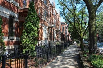 Tree-lined streets