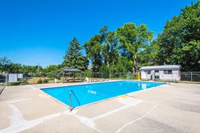 Kitchener apartment for rent - A blue swimming pool surrounded by trees and a small building.