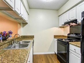 Sandy Springs apartment for rent - a kitchen with a sink and a stove