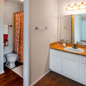 Spring apartment for rent - a bathroom with a toilet and a sink and a mirror