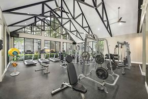Houston apartment for rent - the gym at the m on hennepin apartments