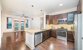 Houston apartment for rent - a kitchen with an island and stainless steel appliances