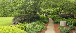 Simpsonville apartment for rent - a path in a park with trees and bushes