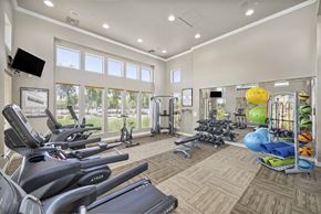 Mesa apartment for rent - the preserve at ballantyne commons fitness center with weights and cardio machines and windows