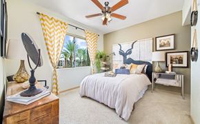 Tempe apartment for rent - a bedroom with a bed and a ceiling fan