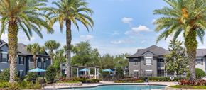 Wesley Chapel apartment for rent - A swimming pool surrounded by palm trees and houses.