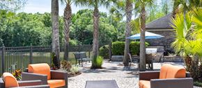 Wesley Chapel apartment for rent - a backyard patio with chairs and tables and trees