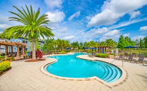 Tampa apartment for rent - a swimming pool at a resort with palm trees