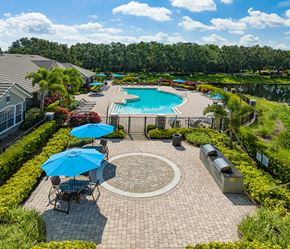 Lakewood Ranch apartment for rent - an aerial view of a pool and patio with umbrellas