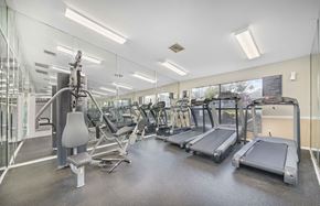 Brandon apartment for rent - the gym at the preserve at green valley apartments co