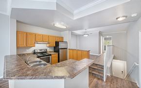 Coral Springs apartment for rent - an empty kitchen with a counter top and a sink