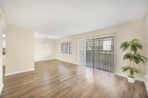 Tampa apartment for rent - the spacious living room with wood flooring and a large window