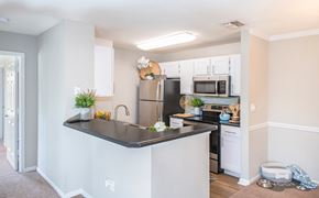 Lake Mary apartment for rent - a kitchen with stainless steel appliances and a black counter top