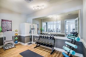 Lake Mary apartment for rent - the gym with weights and mirrors at 1861 muleshoe road