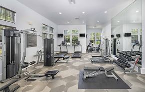 Gainesville apartment for rent - the gym is equipped with weights and cardio equipment