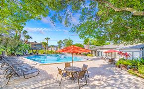Altamonte Springs apartment for rent - a swimming pool with patio furniture and umbrellas
