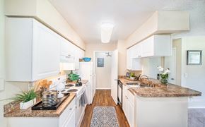 Altamonte Springs apartment for rent - a spacious kitchen with white cabinets and granite counter tops