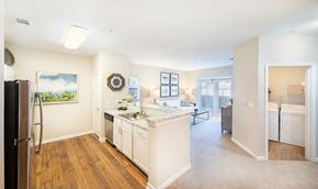 Ladson apartment for rent - a kitchen and living room with a refrigerator and a sink