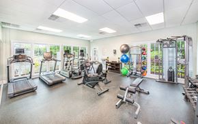 Charleston apartment for rent - the gym is equipped with state of the art equipment including cardio machines and weights