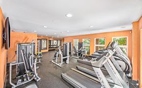 Charleston apartment for rent - the gym at the oxford condos tx