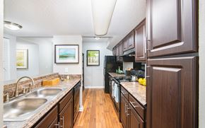Goose Creek apartment for rent - a large kitchen with wooden cabinets and granite counter tops