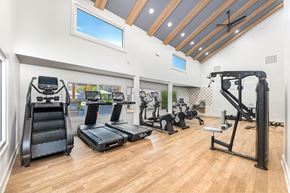 Mt Pleasant apartment for rent - A spacious home gym with a variety of equipment including treadmills, elliptical machines, and a weight rack.