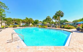 Jacksonville apartment for rent - a swimming pool with palm trees and buildings in the background