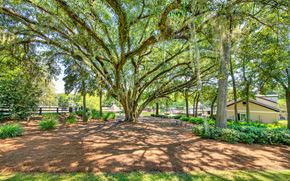 Tallahassee apartment for rent - a driveway with trees and a house in the background