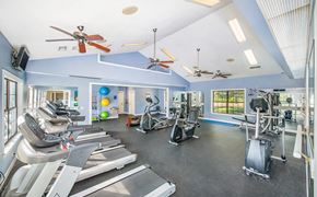 Tallahassee apartment for rent - a gym with cardio machines and ceiling fans