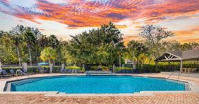Jacksonville apartment for rent - A swimming pool surrounded by trees and a pavilion.