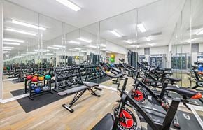 Savannah apartment for rent - A gym with a row of treadmills and a row of stationary bikes.