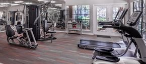 Savannah apartment for rent - the gym is equipped with cardio equipment and weights