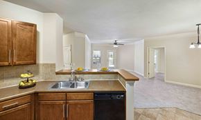 Pooler apartment for rent - A kitchen with wooden cabinets and a black dishwasher.