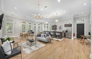 Huntersville apartment for rent - A spacious living room with a grey sofa and a wooden floor.