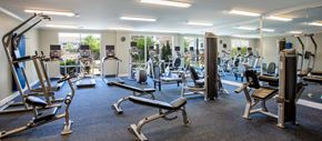 Charlottesville apartment for rent - a gym with various cardio machines and weights