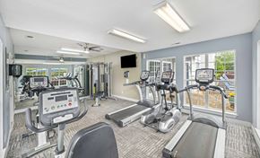 Matthews apartment for rent - the gym at the preserve at green trees apartments sc