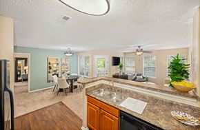 Matthews apartment for rent - A kitchen with a sink and a counter.