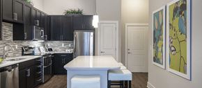 Charlotte apartment for rent - a kitchen with black cabinets and a white counter top