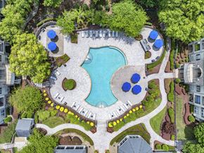 Morrisville apartment for rent - an overhead view of a swimming pool in a garden with trees