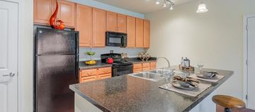 Nashville apartment for rent - a kitchen with granite counter tops and a black refrigerator