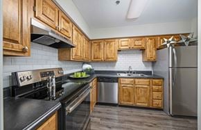 Nashville apartment for rent - a kitchen with stainless steel appliances and wooden cabinets