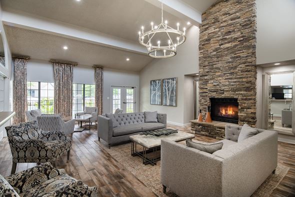 Hermitage apartment for rent - a living room with couches and chairs and a fireplace