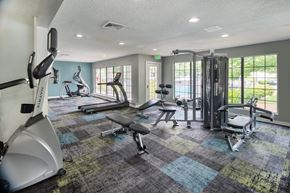 Hermitage apartment for rent - a gym with weights and cardio equipment and windows