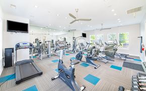 Gallatin apartment for rent - a gym with cardio machines and other exercise equipment