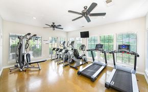 Lexington apartment for rent - the gym has plenty of cardio equipment and windows