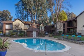 Danville apartment for rent - A fenced, bean-shaped pools is lined with black and teal deck chairs and potted plants. Apartments in background.