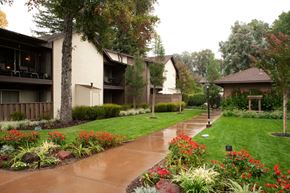 Danville apartment for rent - Lush flowers, foliage and grass line a sidewalk wet with rain. Trees and apartments on either side of pathway.